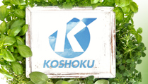 KOSHOKU
